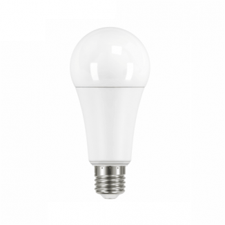 LED Bulb